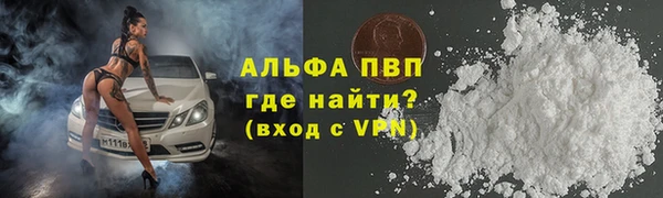 стаф Новодвинск