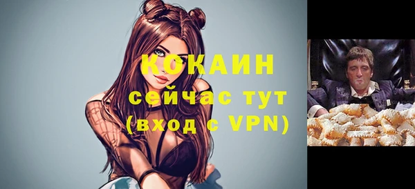 стаф Новодвинск