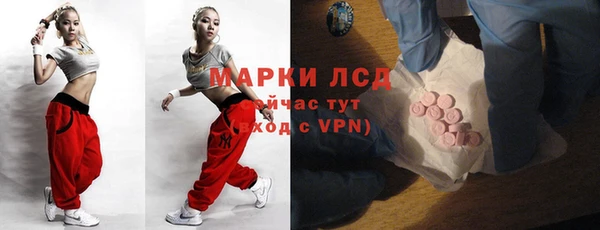 стаф Новодвинск