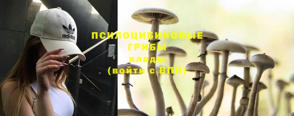мескалин Новокубанск