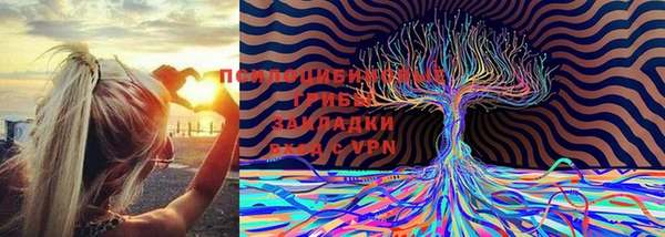 мескалин Новокубанск