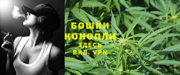 стаф Новодвинск