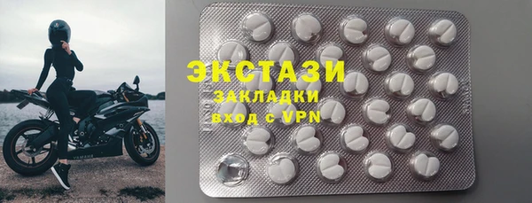 стаф Новодвинск